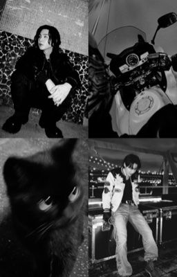Yoonseok-/•Lén Lút•