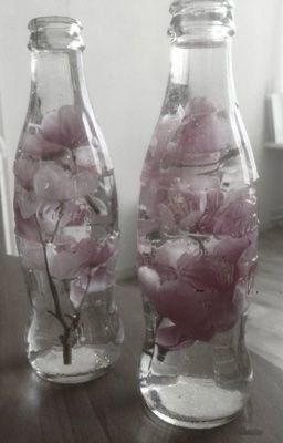 yulz | bí mật nhỏ