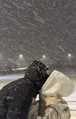 [Zekayusi] Dino v Bear