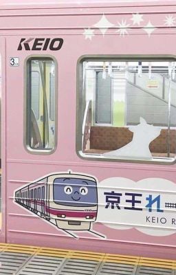 zeknut | cá đậu.