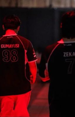 zkys/ shadow