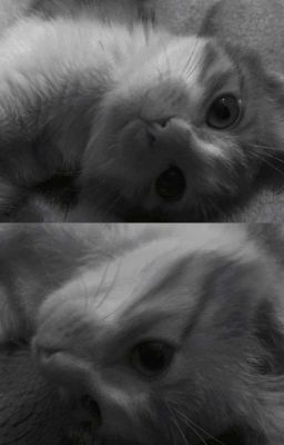 zzkk;; đừng rời đi, tôi luôn ở đây với em