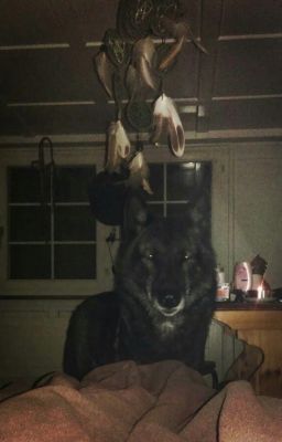 zzkk^᪲᪲᪲ giận dỗi