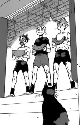 ใ ๐ท๐๐๐๐ข๐๐!! ใ๐ฟ๐๐๐๐๐๐๐๐