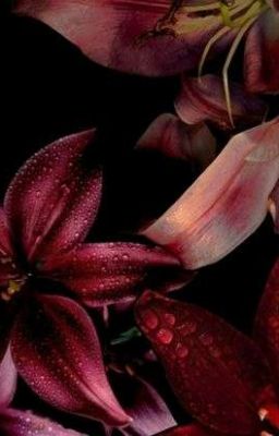 ᝰ.ᐟ peanut x doran ᡣ𐭩 his bunny 