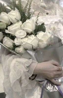 [ᴄᴏᴜᴛʀʏʜᴜᴍᴀɴS] Tổng hợp Ô Tê Pê🌷