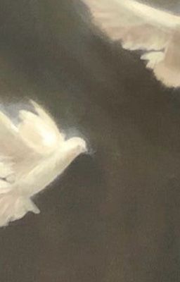 [厄夏] one last night