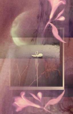 影帝是非 