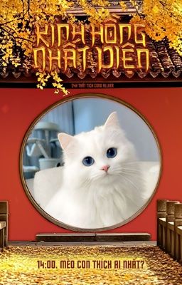 [ 惊鸿一面 | 14:00 ] mèo con thích ai nhất?