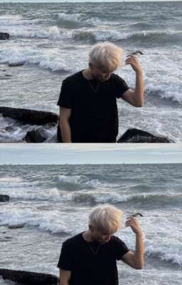 ꜱᴏɴʙɪɴʜ ꫂ❁ ᴛɪ̀ɴʜ ᴆᴀ̆́ɴɢ