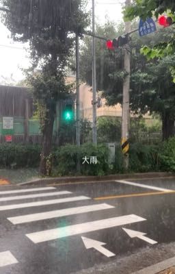 ⋆. 𐙚 ˚ miền ký ức | nguyên lanh