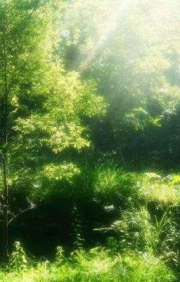 ⋆𐙚Solarduri | Một Triệu Vì Sao