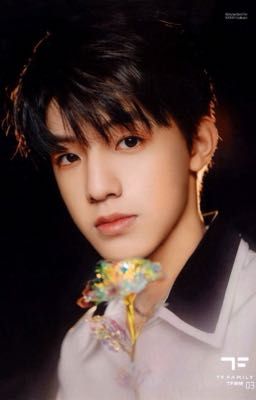 𐙚Trans |Cực Vũ|⋆. Hoa hướng dương .ᐟ⋆