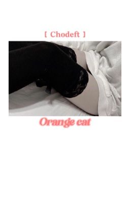 [𝐂𝐡𝐨𝐝𝐞𝐟𝐭] - orange cat. 