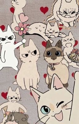 (𝐝𝐫𝐨𝐩) Sookai|chụp trộm 