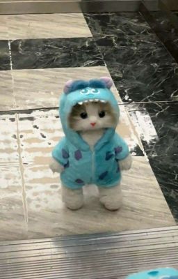 𝒋𝒔𝒐𝒍𝒏𝒊𝒄𝒌𝒚 | 불행