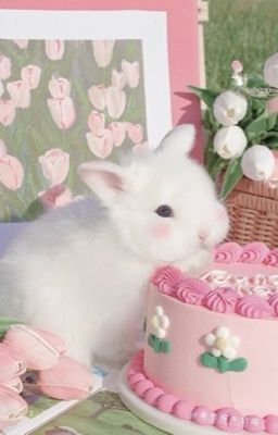 𝒐𝒏𝒓𝒂𝒏 ᝰ.ᐟ tình cũ không rủ cũng tới.
