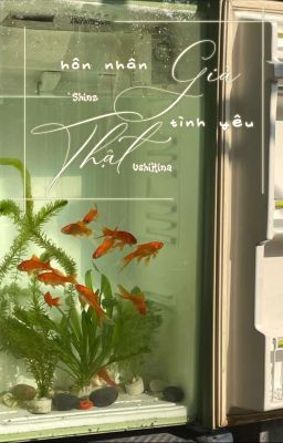 ﹝𝒰𝓼𝓱𝓲𝓗𝓲𝓷𝓪﹞hôn nhân Giả - tình yêu Thật