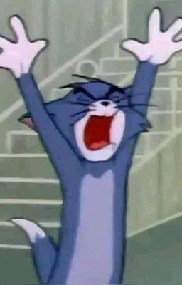 𝓰𝔁 • shipper