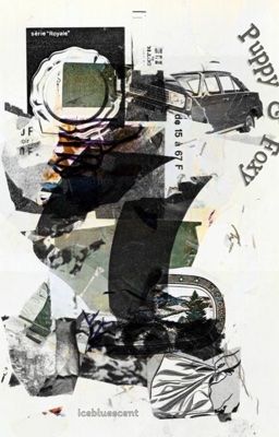 𝗸𝗵𝘀𝗵. puppy & foxy 