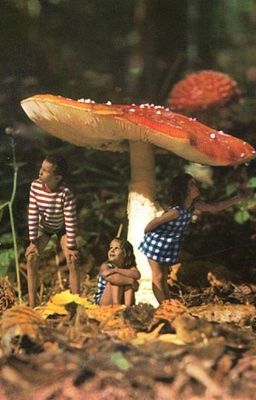 𝗸𝗵𝘀𝗵. touch