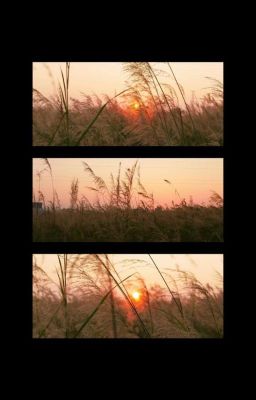 𝙷𝚒𝚎𝚞𝚜𝚘𝚕 𝚟𝚎𝚛⤳Đuổi Theo Mặt Trời