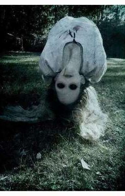 𝙽𝚑𝚞̛̃𝚗𝚐 𝙼𝚊̂̃𝚞 𝚃𝚛𝚞𝚢𝚎̣̂𝚗 𝙺𝚒𝚗𝚑 𝙳𝚒̣