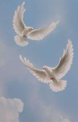 「𝚏𝚘𝚛 𝚜𝚘𝚗.𝚔」 𝚋𝚒𝚛𝚍