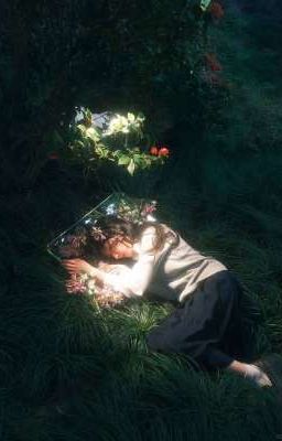 ⤿𝚑𝚘à𝚗𝚐𝚑à𝚘 | 𝐗𝐄 𝐃𝐔𝐘𝐄𝐍 ゚♡-‧˚