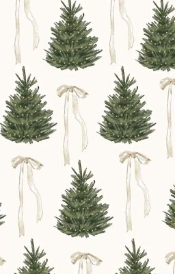 𝟐𝟑 / 𝟏𝟐 || 𝐚𝐭𝐬𝐡𝟐 𝐦𝐢𝐧𝐢 𝐬𝐞𝐫𝐢𝐞𝐬.